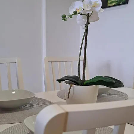 Apartament Casa Sophia *