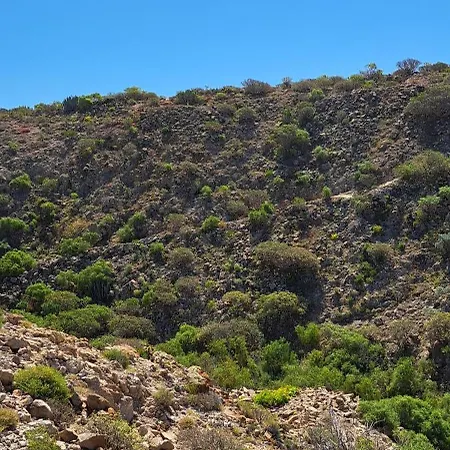 Apartamento Casa Sophia